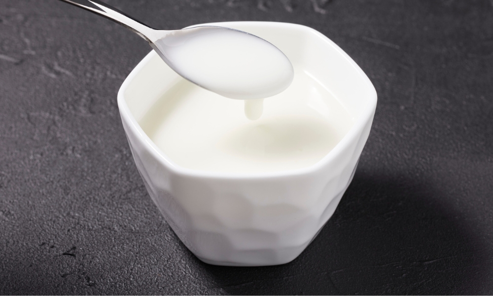 Probiotici u fermentisanim proizvodima