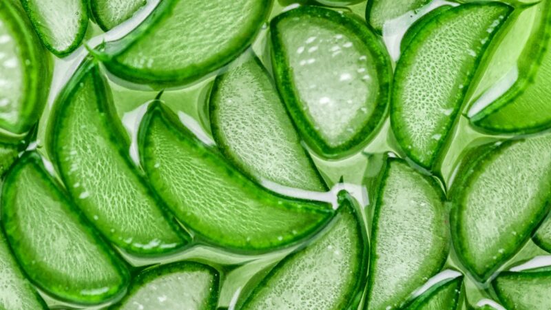 Isečeni listovi aloe vere u gelu za laganu hidrataciju i osveženje kože